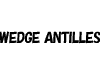 WEDGE ANTILLES IN X-WING FIGHTER PILOT GEAR